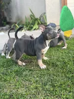 processed/8e652f4d-37c9-49d7-bba0-02c8e300440d/listing/e4b0aa49-8b14-4c13-8117-70614d3534c6/a46b9c40-e465-4ebe-9e4a-98c43004a42a