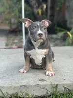 processed/8e652f4d-37c9-49d7-bba0-02c8e300440d/listing/e4b0aa49-8b14-4c13-8117-70614d3534c6/ade7f11b-c2cb-42c4-9ef3-b9ccfce23002