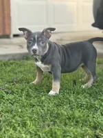 processed/8e652f4d-37c9-49d7-bba0-02c8e300440d/listing/e4b0aa49-8b14-4c13-8117-70614d3534c6/e97854f7-d9be-4338-90cf-609321cf62fc