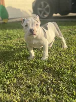 processed/8e652f4d-37c9-49d7-bba0-02c8e300440d/listing/f22801f4-41d4-4bd0-bbb8-1ac1eb6baba0/a0d1068d-04b5-4a79-a603-f57953db60ba