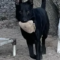 processed/8e674f2b-1863-494f-9518-edd64eb9856c/facility/06d7dc9e-5ce6-48b6-a703-eadcd1ea2b1c