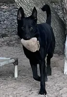 processed/8e674f2b-1863-494f-9518-edd64eb9856c/facility/06d7dc9e-5ce6-48b6-a703-eadcd1ea2b1c