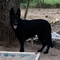 processed/8e674f2b-1863-494f-9518-edd64eb9856c/facility/54c65b32-825a-4f7c-b9e0-653c01831cbe