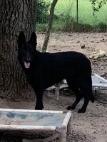 processed/8e674f2b-1863-494f-9518-edd64eb9856c/facility/54c65b32-825a-4f7c-b9e0-653c01831cbe