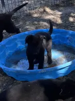 processed/8e674f2b-1863-494f-9518-edd64eb9856c/facility/6af6878d-131e-422a-80c2-31f426036886