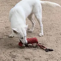 processed/8e674f2b-1863-494f-9518-edd64eb9856c/facility/83b31b2b-7ef7-4e2b-b877-46f1825e300a