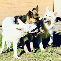 processed/8e674f2b-1863-494f-9518-edd64eb9856c/facility/844983e3-4248-4833-bf71-58a3f39a61d1