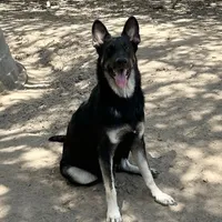 processed/8e674f2b-1863-494f-9518-edd64eb9856c/facility/bd0e71b0-ce34-4f3c-8aa6-172d994fe583