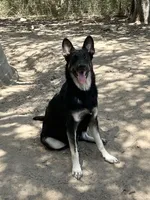 processed/8e674f2b-1863-494f-9518-edd64eb9856c/facility/bd0e71b0-ce34-4f3c-8aa6-172d994fe583