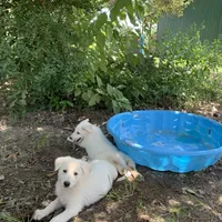 processed/8e674f2b-1863-494f-9518-edd64eb9856c/facility/d4f734a9-b4ca-4167-b854-796bf3603a14