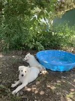 processed/8e674f2b-1863-494f-9518-edd64eb9856c/facility/d4f734a9-b4ca-4167-b854-796bf3603a14