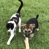 processed/8e674f2b-1863-494f-9518-edd64eb9856c/facility/db1e9405-08f7-4f33-a8c9-0c225a0e93ad