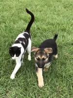 processed/8e674f2b-1863-494f-9518-edd64eb9856c/facility/db1e9405-08f7-4f33-a8c9-0c225a0e93ad