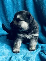 processed/8e674f2b-1863-494f-9518-edd64eb9856c/listing/24c484b5-17de-43e8-9d4c-576540c51376/3f977d1c-aa87-4448-9fd5-6d2f44f73d40