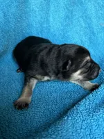 processed/8e674f2b-1863-494f-9518-edd64eb9856c/listing/24c484b5-17de-43e8-9d4c-576540c51376/79c11c80-0620-479c-946c-2804cba9df5d