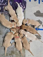 processed/8e6e0eda-91f8-4240-9b50-56fe5092bb9f/facility/4d1237d3-2d48-48eb-a0e1-96b51b8b09d8