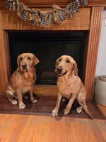 processed/8e6e0eda-91f8-4240-9b50-56fe5092bb9f/facility/5ae4db2a-bc79-4d12-af94-342c17adfeac