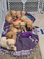 processed/8e6e0eda-91f8-4240-9b50-56fe5092bb9f/facility/95e73167-efbe-4db9-8d4d-947db97f591a