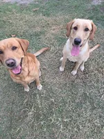 processed/8e6e0eda-91f8-4240-9b50-56fe5092bb9f/facility/ede9186b-a643-47f0-8a3e-0a736a4f9425