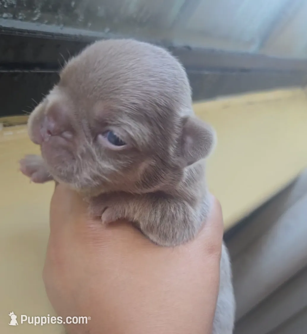 processed/8e7212f5-8877-41e2-8146-334c4682a78c/listing/1e613917-c922-4773-9c6f-9188469db80d/4aea01bd-ce81-4906-a8a1-453bdb6e0aec