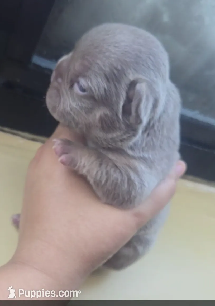 processed/8e7212f5-8877-41e2-8146-334c4682a78c/listing/1e613917-c922-4773-9c6f-9188469db80d/a73e146e-0b09-4b3d-99e4-b4d0d9fb459a