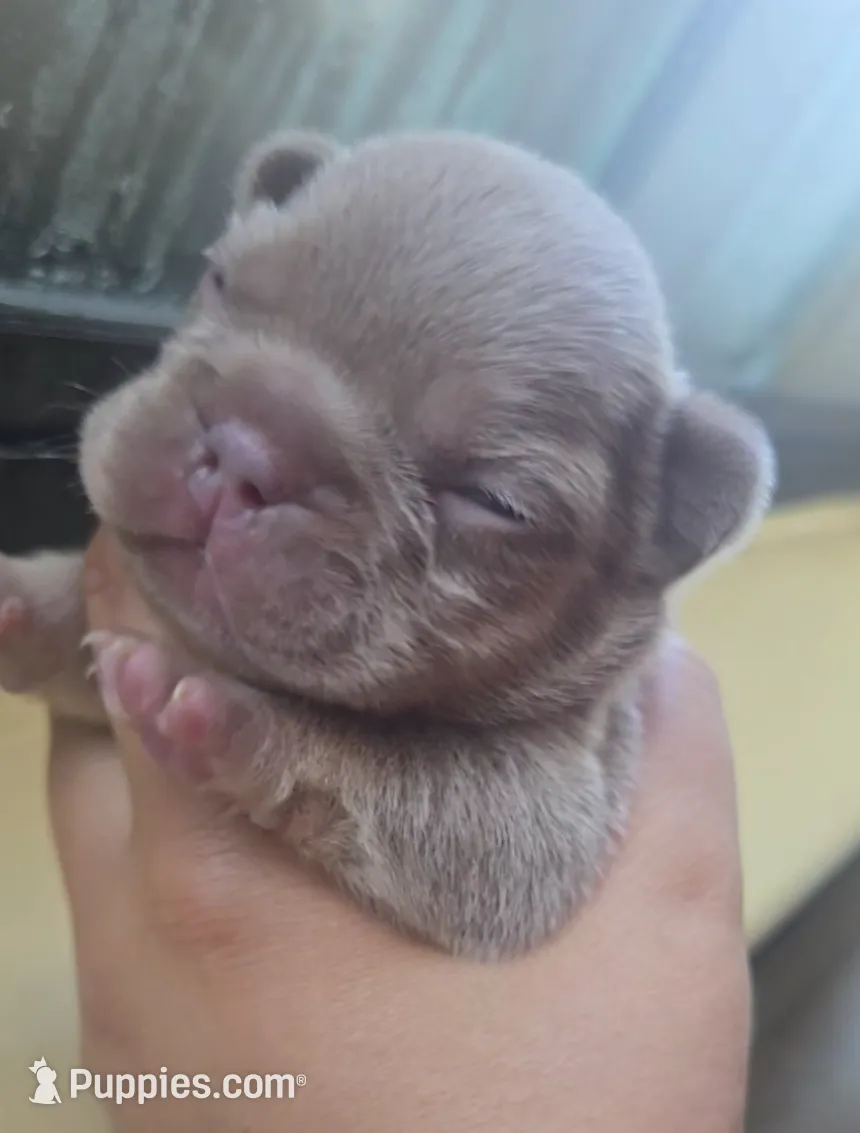 processed/8e7212f5-8877-41e2-8146-334c4682a78c/listing/1e613917-c922-4773-9c6f-9188469db80d/ea9c2e5b-dd6d-4392-9083-09cee4dcd91b