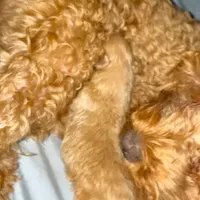 processed/8e83c63b-ecc7-4ba7-a848-7667b26f4b48/facility/031e33c0-e606-4112-94c8-bb3d68f7cf08