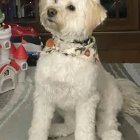 processed/8e83c63b-ecc7-4ba7-a848-7667b26f4b48/facility/37b3f252-4731-480f-89c3-0638c5a6c7d9