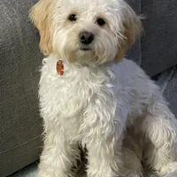 processed/8e83c63b-ecc7-4ba7-a848-7667b26f4b48/facility/448731f2-8dae-4fea-9692-929bb7ba5c04