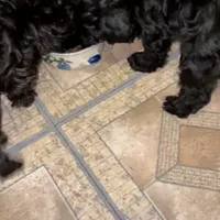 processed/8e83c63b-ecc7-4ba7-a848-7667b26f4b48/facility/623caa87-b79d-48da-a49f-a86197270aef