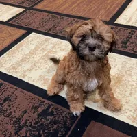 processed/8e83c63b-ecc7-4ba7-a848-7667b26f4b48/facility/9378cd48-8079-4a69-b1a5-44afb2c4cc29