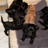 processed/8e83c63b-ecc7-4ba7-a848-7667b26f4b48/facility/aea887a4-8fe2-4dd3-9bba-57f0bfcf351c