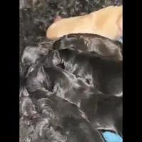 processed/8e83c63b-ecc7-4ba7-a848-7667b26f4b48/facility/c9d7f458-938f-4073-a29b-610cd8610909