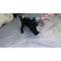 processed/8e83c63b-ecc7-4ba7-a848-7667b26f4b48/facility/e011d210-65a7-43c6-aed5-60808b1b8c59