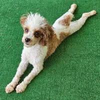 processed/8e8cd4fe-3bf5-4ecc-9315-3560a9c5a460/facility/6e1c908d-0489-4c06-b1d7-a09975cf3116