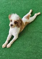 processed/8e8cd4fe-3bf5-4ecc-9315-3560a9c5a460/facility/6e1c908d-0489-4c06-b1d7-a09975cf3116