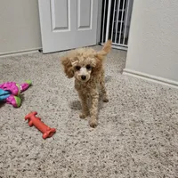 processed/8e8cd4fe-3bf5-4ecc-9315-3560a9c5a460/facility/7b612424-7f72-4ebd-a190-3f164f85f40f