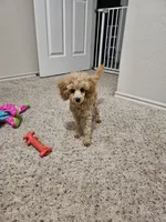 processed/8e8cd4fe-3bf5-4ecc-9315-3560a9c5a460/facility/7b612424-7f72-4ebd-a190-3f164f85f40f