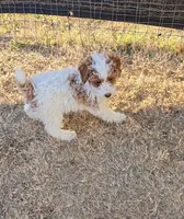 processed/8e8cd4fe-3bf5-4ecc-9315-3560a9c5a460/listing/e8ed50cb-a60f-443e-9629-f6c90c9a9e21/8747d5d9-5459-4a30-983e-9686b69f65ab