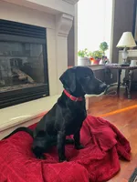 processed/8e8d3f57-e43a-4a8b-a7e1-98cae56e90f4/listing/586f05d6-90db-484b-a9e3-79c3101342ac/7f84ad25-3fcb-4b36-ae24-32267fb7eace