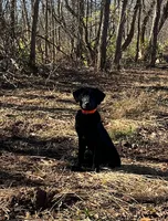 processed/8e8d3f57-e43a-4a8b-a7e1-98cae56e90f4/listing/586f05d6-90db-484b-a9e3-79c3101342ac/95a426c5-001d-4859-8928-7391952df922