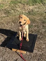 processed/8e8d3f57-e43a-4a8b-a7e1-98cae56e90f4/listing/a4879f53-7e44-4fd7-b65d-a37ab00a6c16/236169c3-7c3a-45c4-9807-25cb5e6f8a27