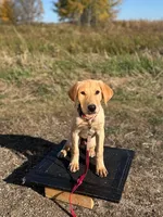 processed/8e8d3f57-e43a-4a8b-a7e1-98cae56e90f4/listing/a4879f53-7e44-4fd7-b65d-a37ab00a6c16/7ed43bfe-61f4-42ab-938e-d96fc05fb1b7