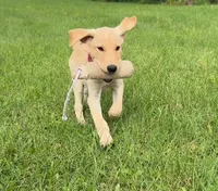 processed/8e8d3f57-e43a-4a8b-a7e1-98cae56e90f4/listing/a4879f53-7e44-4fd7-b65d-a37ab00a6c16/e7e46c52-524d-4a86-9742-e56a09be9e18