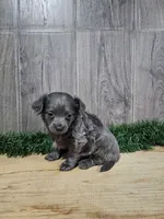 processed/8ea0b1a8-5d91-4793-8338-00fa934c132e/listing/684e5ffb-83ae-4530-80e6-ee89710156ab/4e3556f2-31a8-49ab-b59b-08f7694b9ecc