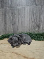 processed/8ea0b1a8-5d91-4793-8338-00fa934c132e/listing/684e5ffb-83ae-4530-80e6-ee89710156ab/b02bf67d-70ae-44fe-b62e-6b724c8240b1