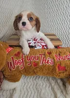 processed/8ea0b1a8-5d91-4793-8338-00fa934c132e/listing/9d1fc845-e3f4-4cec-b24c-caf3177c2843/6bdaf54c-d28f-46ab-90b8-972a7b5bc05d