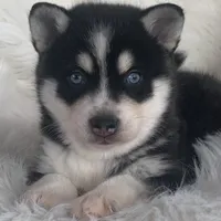 processed/8ea83dac-36b2-4ba8-8653-925064001fad/facility/299c500e-b5b6-4722-bfc9-8a3797a9c503