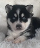 processed/8ea83dac-36b2-4ba8-8653-925064001fad/facility/299c500e-b5b6-4722-bfc9-8a3797a9c503