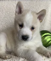 processed/8ea83dac-36b2-4ba8-8653-925064001fad/listing/14fd8cab-7ad8-400c-9dbf-28b773325b7d/336a9a16-946d-4fdd-8327-584f409881b3